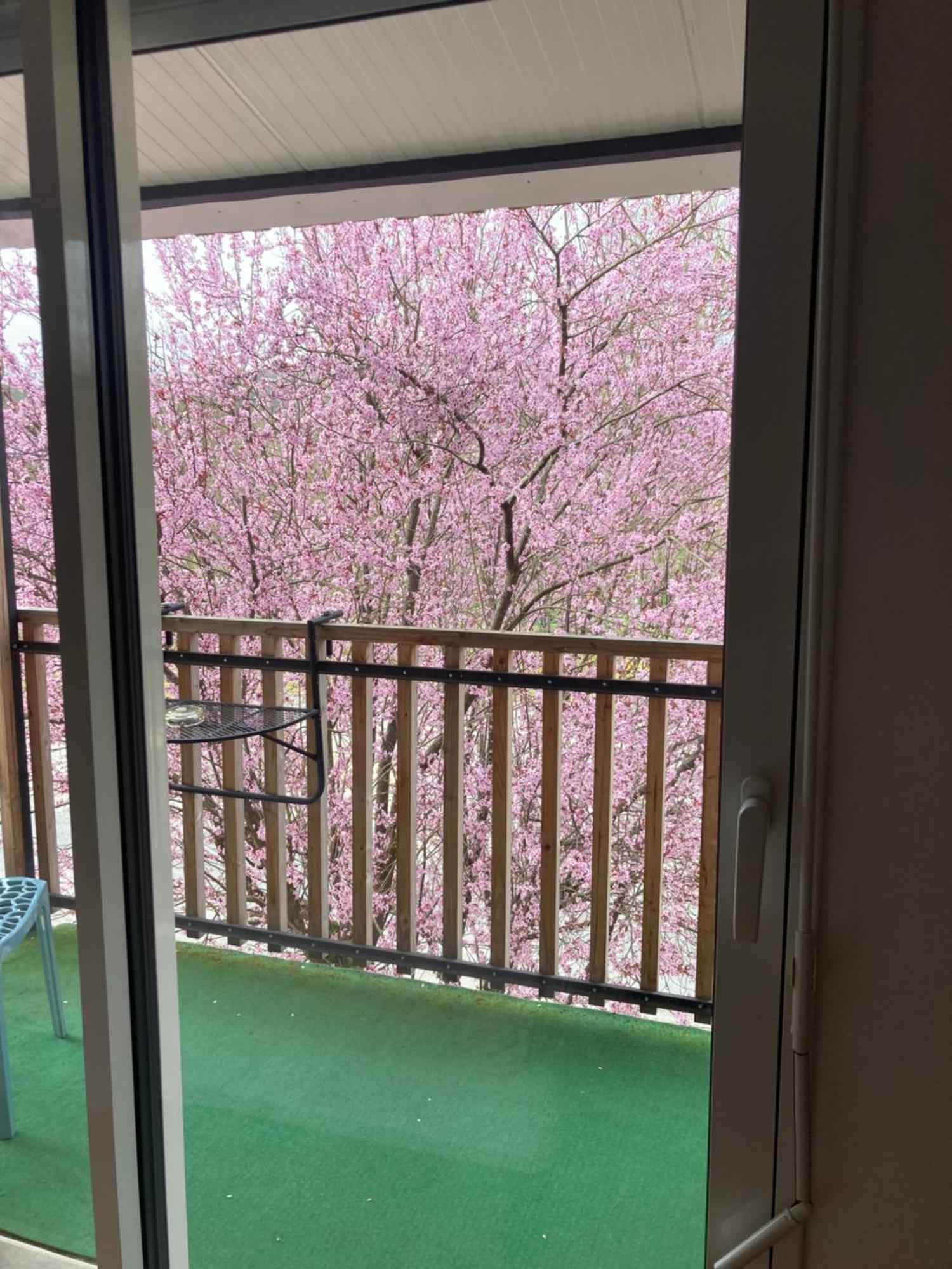 Logis Hotel Les Tilleuls Bruere-Allichamps Luaran gambar